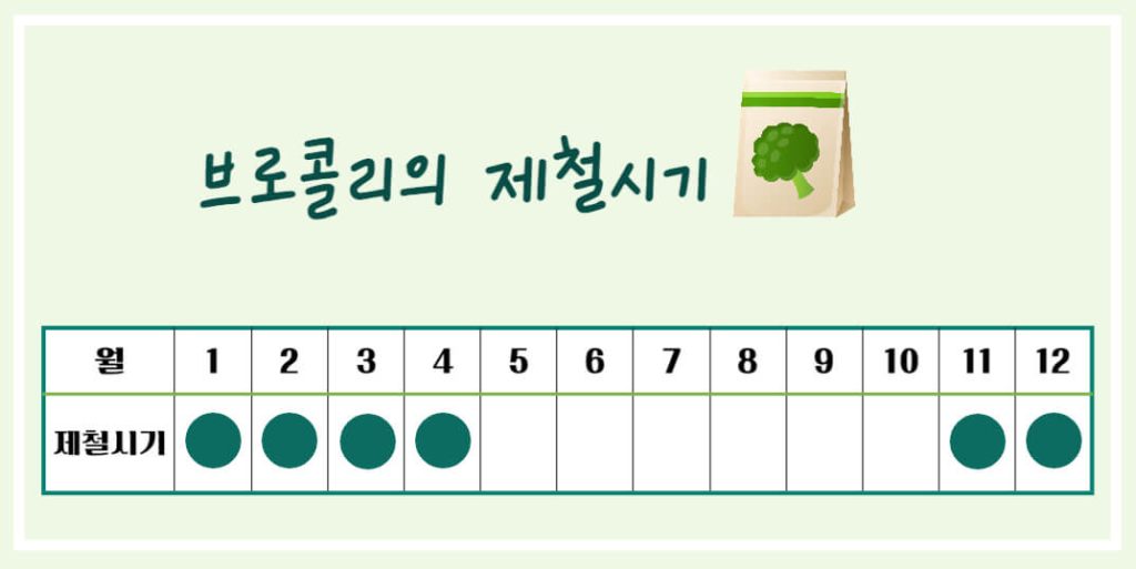 브로콜리 효능 알아보기 : 면역력 강화, 암 등 생활습관병 예방(feat. 다이어트 보조)