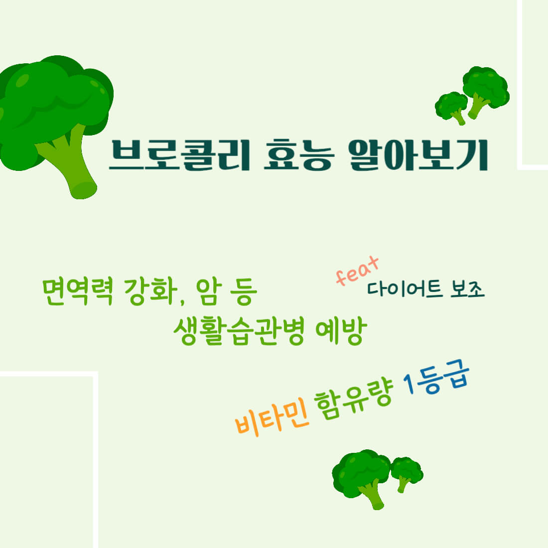 브로콜리 효능 알아보기 : 면역력 강화, 암 등 생활습관병 예방(feat. 다이어트 보조)