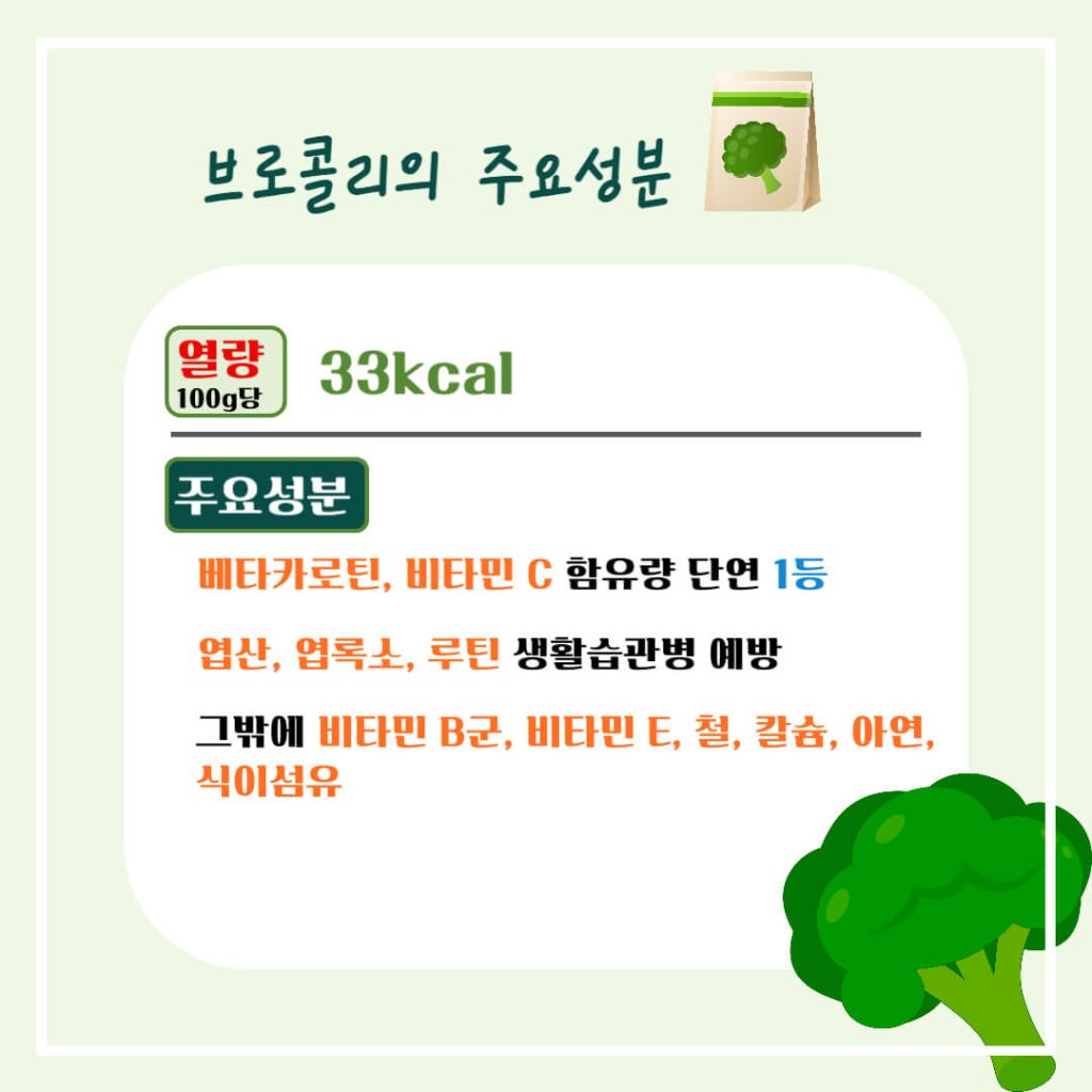 브로콜리 효능 알아보기 : 면역력 강화, 암 등 생활습관병 예방(feat. 다이어트 보조)