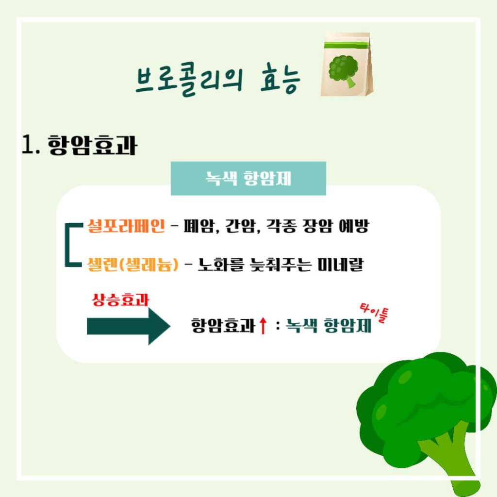 브로콜리 효능 알아보기 : 면역력 강화, 암 등 생활습관병 예방(feat. 다이어트 보조)