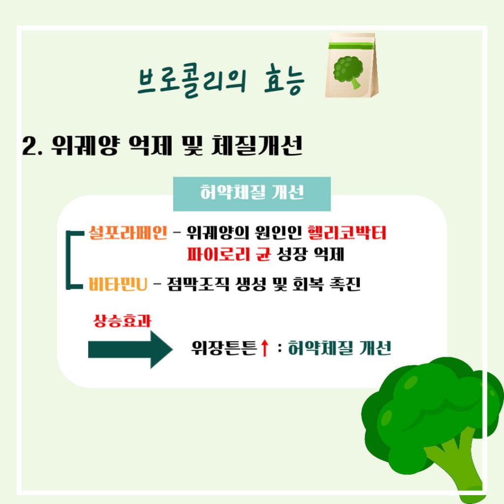 브로콜리 효능 알아보기 : 면역력 강화, 암 등 생활습관병 예방(feat. 다이어트 보조)