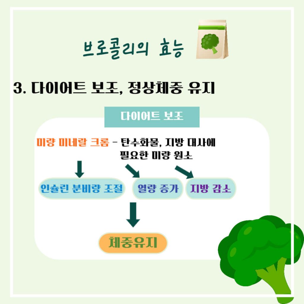 브로콜리 효능 알아보기 : 면역력 강화, 암 등 생활습관병 예방(feat. 다이어트 보조)