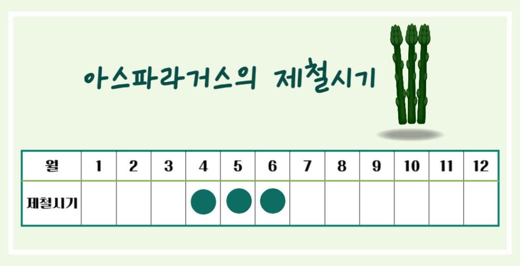 아스파라거스 효능 알아보기 : 지친 몸에 활력을!! 피로회복에 좋은 음식(feat 고혈압 예방)