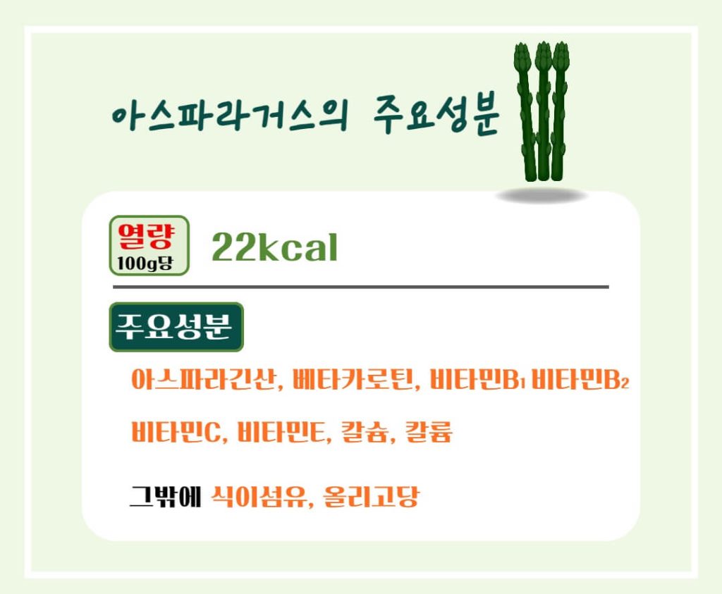 아스파라거스 효능 알아보기 : 지친 몸에 활력을!! 피로회복에 좋은 음식(feat 고혈압 예방)