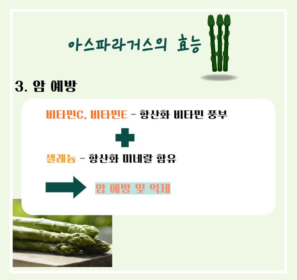 아스파라거스 효능 알아보기 : 지친 몸에 활력을!! 피로회복에 좋은 음식(feat 고혈압 예방)