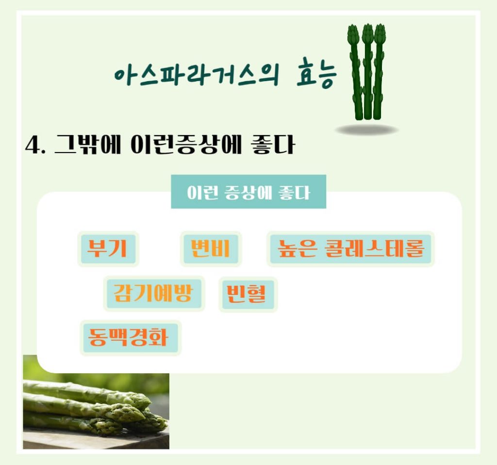 아스파라거스 효능 알아보기 : 지친 몸에 활력을!! 피로회복에 좋은 음식(feat 고혈압 예방)