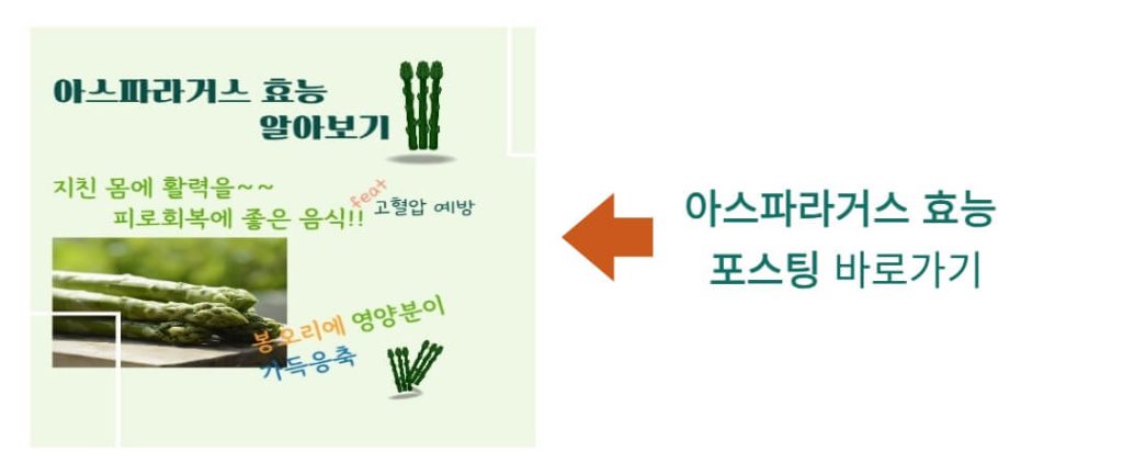 아스파라거스 효능 알아보기 : 지친 몸에 활력을!! 피로회복에 좋은 음식(feat 고혈압 예방)