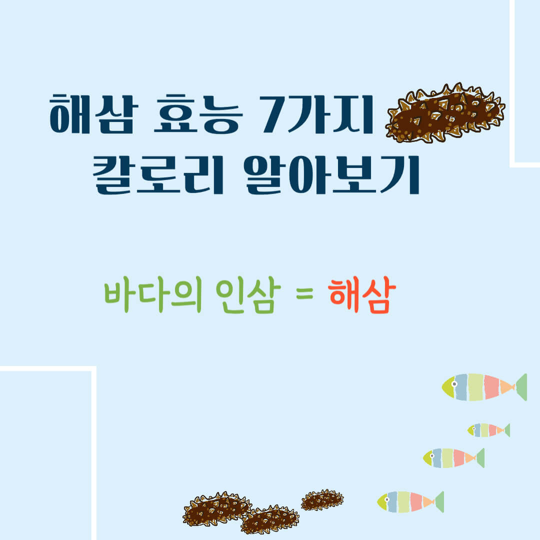 해삼 효능 7가지, 칼로리 알아보기 : 바다의 인삼(feat. 부작용)