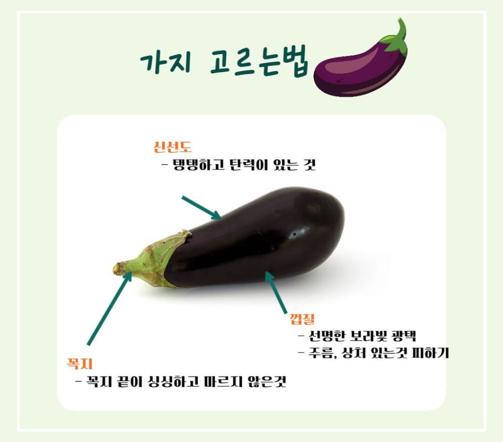 가지 효능 칼로리 알아보기 : 여름철 채소(feat. 만능채소)