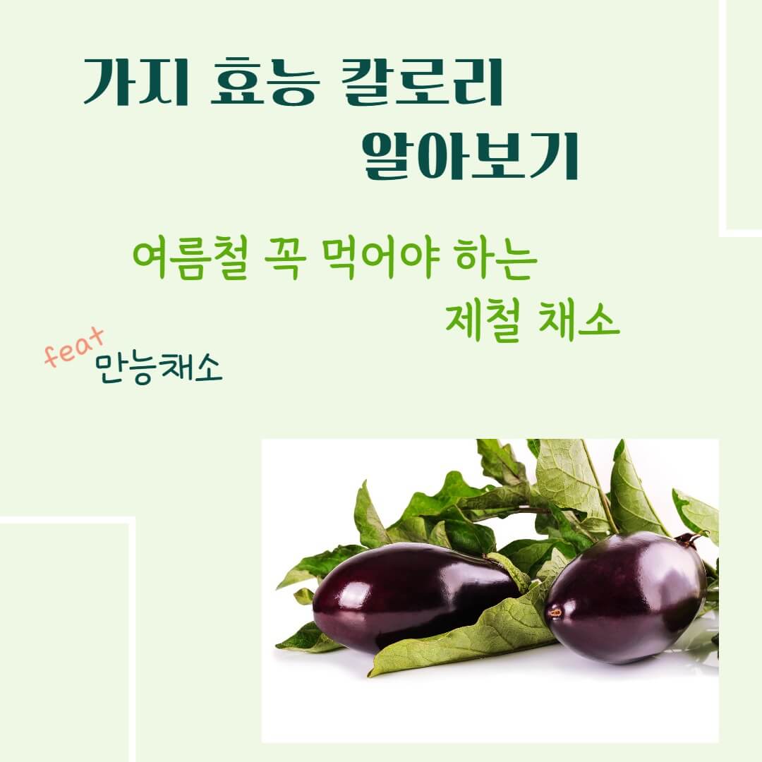 가지 효능 칼로리 알아보기 : 여름철 채소(feat. 만능채소)