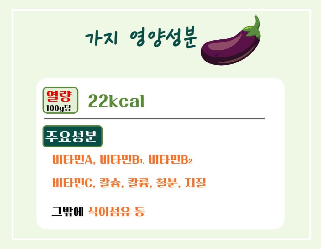 가지 효능 칼로리 알아보기 : 여름철 채소(feat. 만능채소)