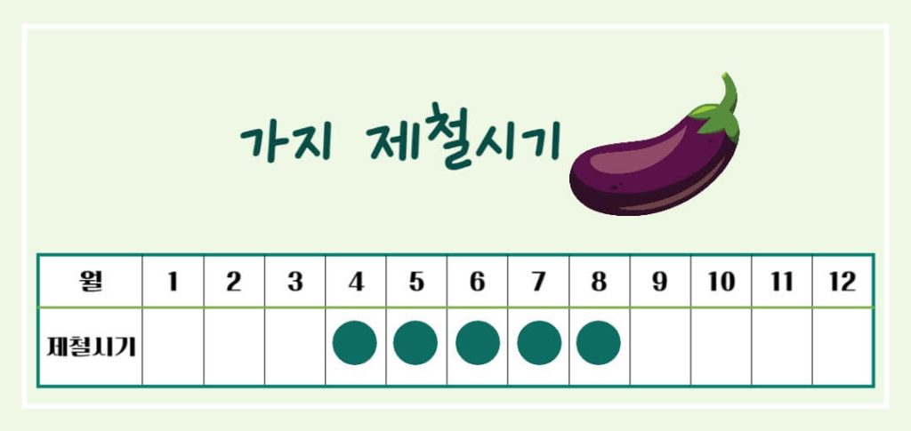 가지 효능 칼로리 알아보기 : 여름철 채소(feat. 만능채소)