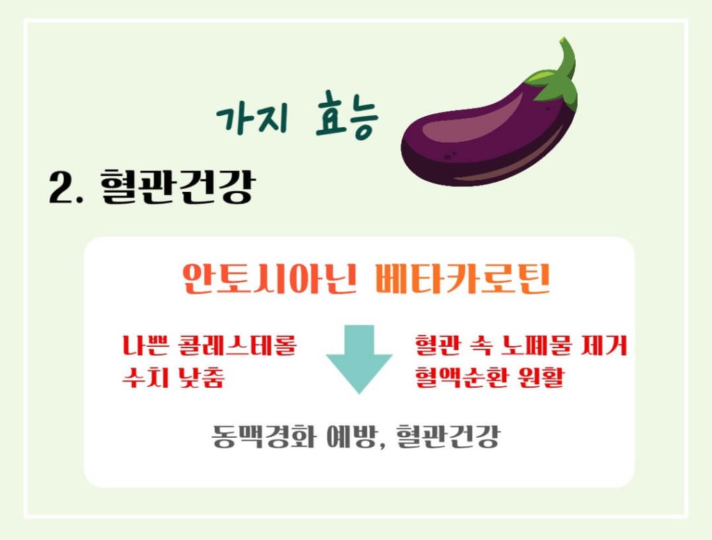 가지 효능 칼로리 알아보기 : 여름철 채소(feat. 만능채소)