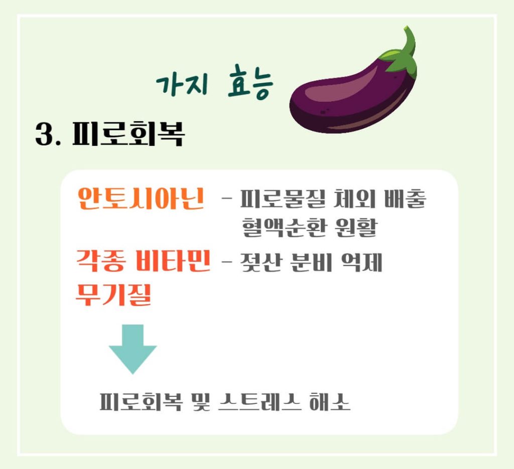 가지 효능 칼로리 알아보기 : 여름철 채소(feat. 만능채소)