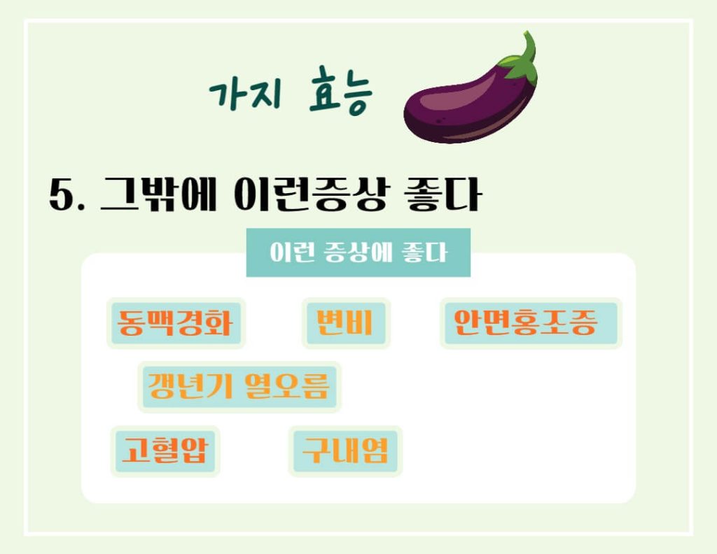 가지 효능 칼로리 알아보기 : 여름철 채소(feat. 만능채소)