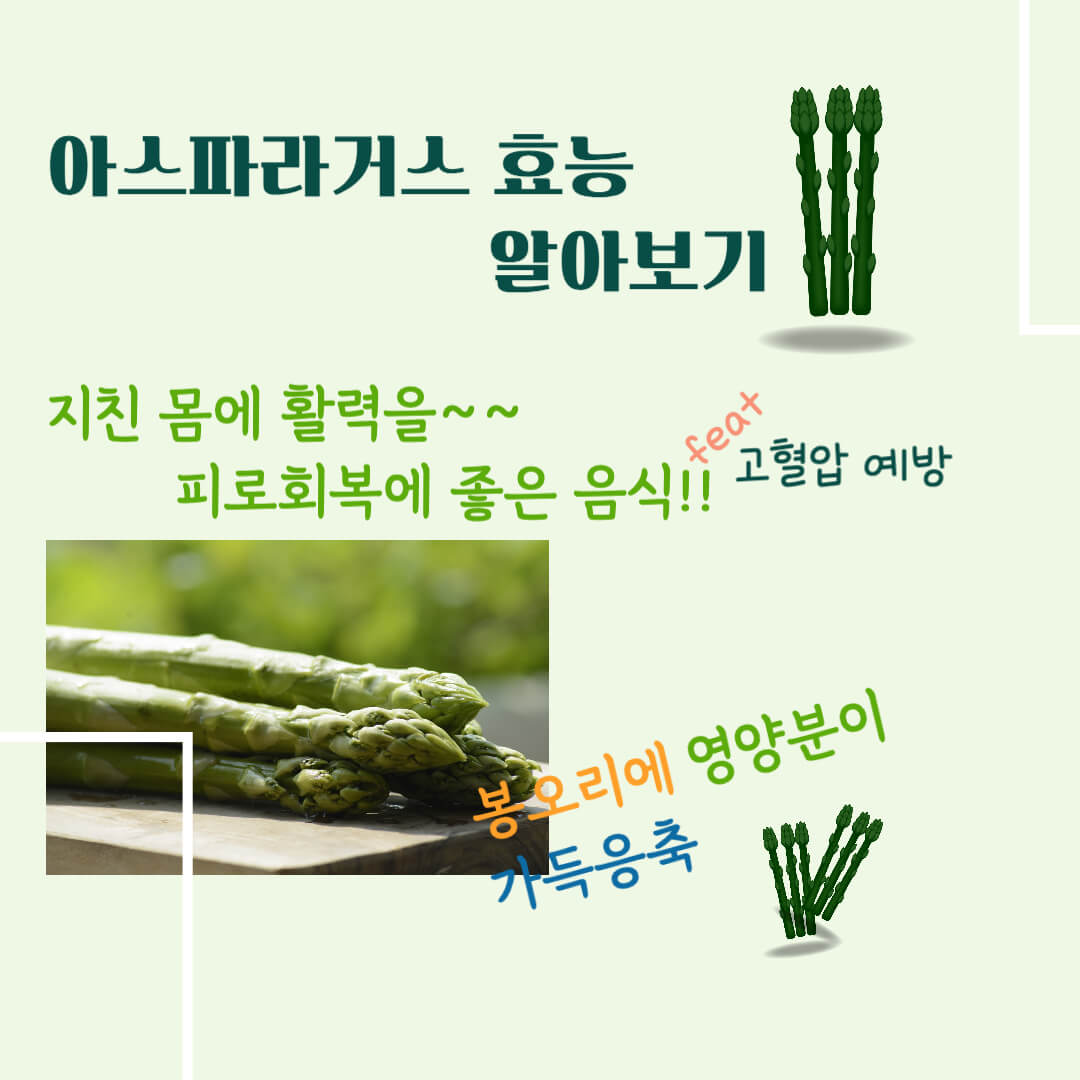 아스파라거스의 효능 알아보기
