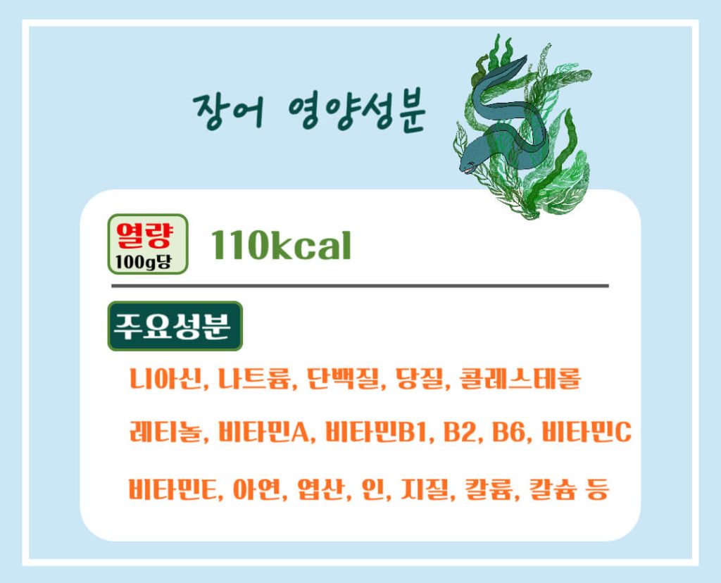 장어 효능 알아보기 : 면역력 강화, 눈건강, 여성질환 예방(feat. 부작용)