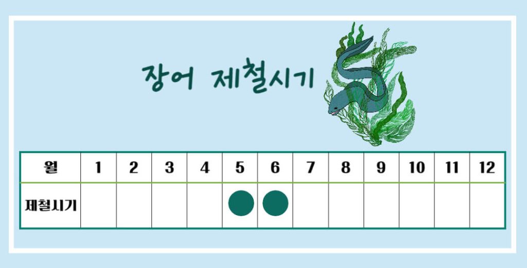 장어 효능 알아보기 : 면역력 강화, 눈건강, 여성질환 예방(feat. 부작용)