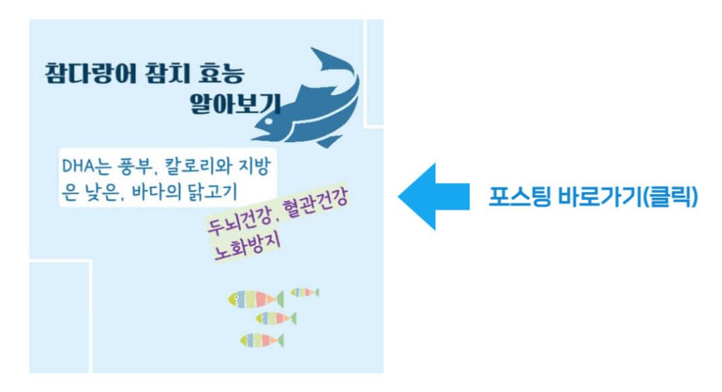 장어 효능 알아보기 : 면역력 강화, 눈건강, 여성질환 예방(feat. 부작용)