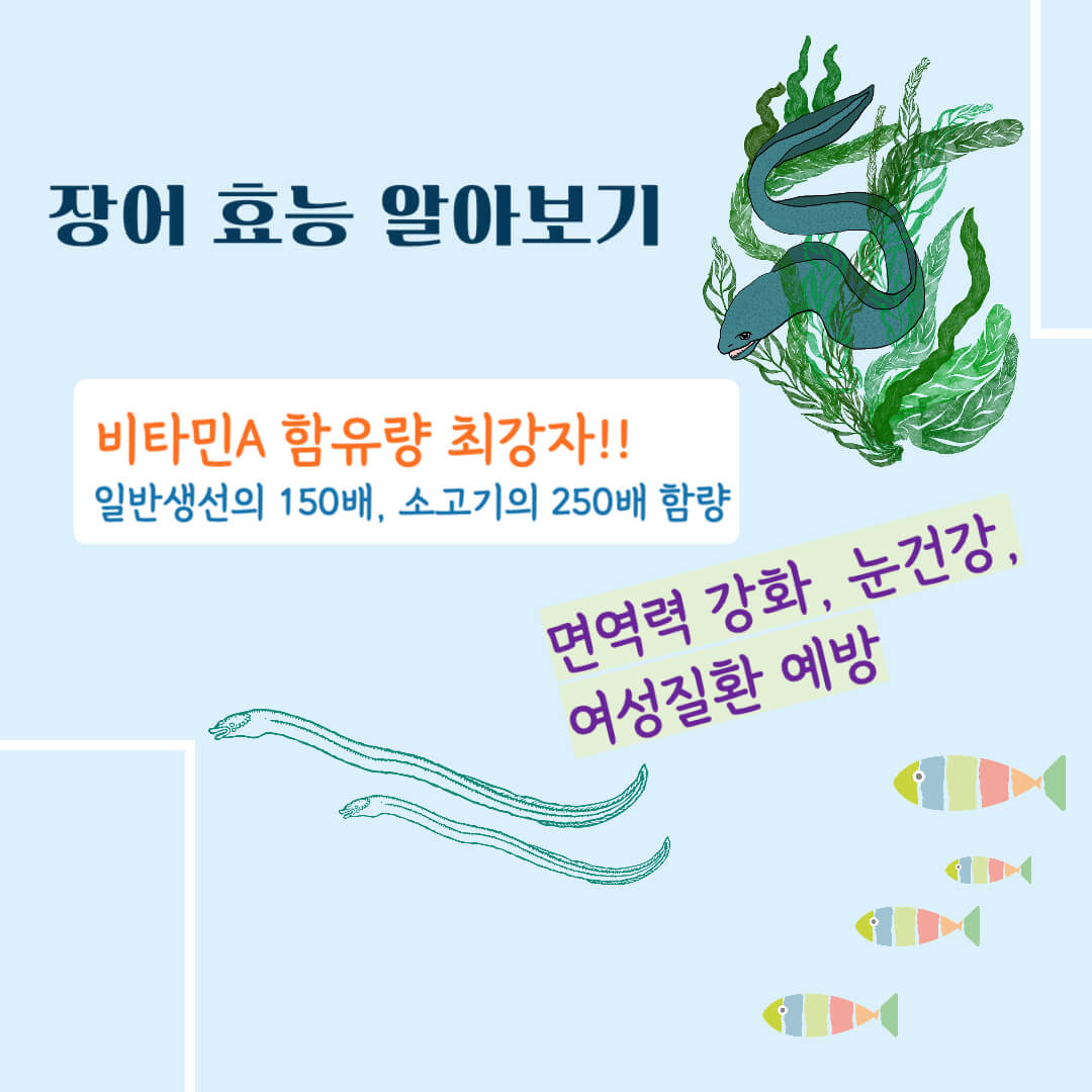 장어의 효능 알아보기