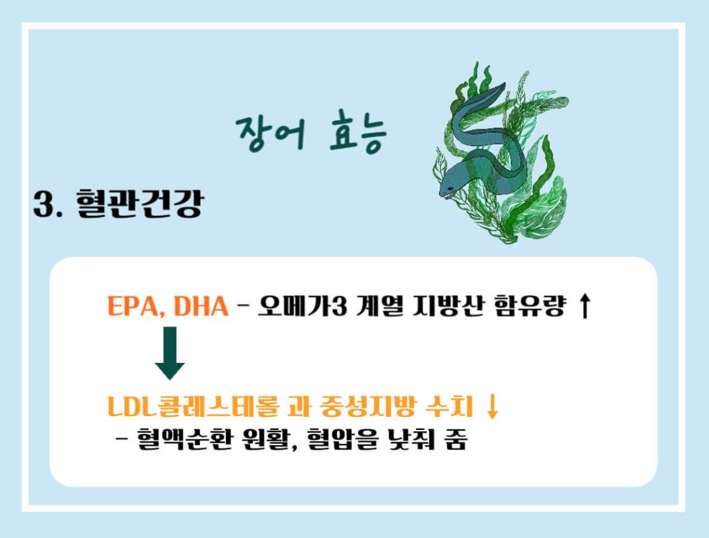 장어 효능 알아보기 : 면역력 강화, 눈건강, 여성질환 예방(feat. 부작용)