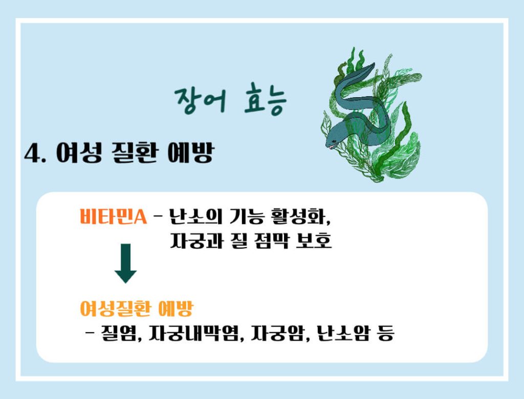 장어 효능 알아보기 : 면역력 강화, 눈건강, 여성질환 예방(feat. 부작용)