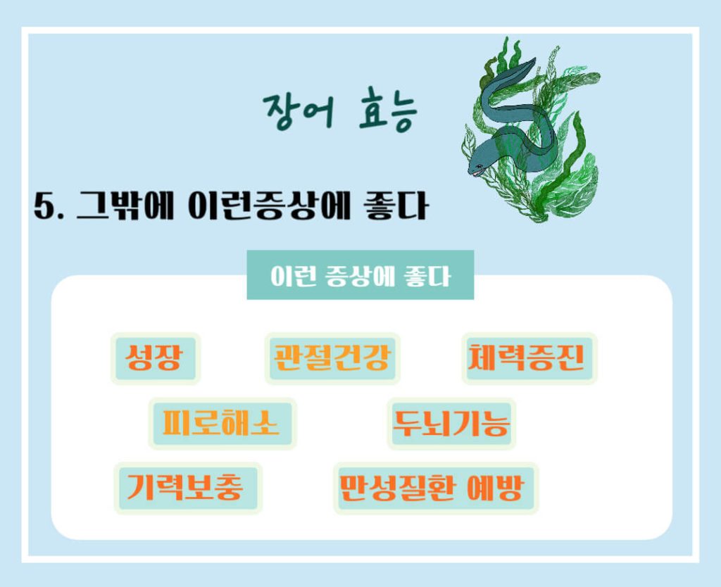 장어 효능 알아보기 : 면역력 강화, 눈건강, 여성질환 예방(feat. 부작용)