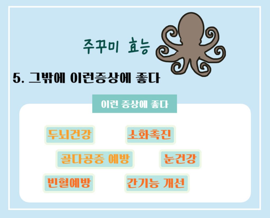 주꾸미 효능 제철 칼로리 알아보기 : 3, 4월 주꾸미철(feat. 부작용)