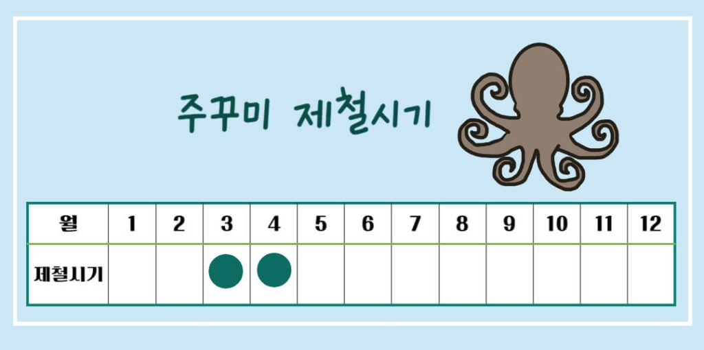 주꾸미 효능 제철 칼로리 알아보기 : 3, 4월 주꾸미철(feat. 부작용)