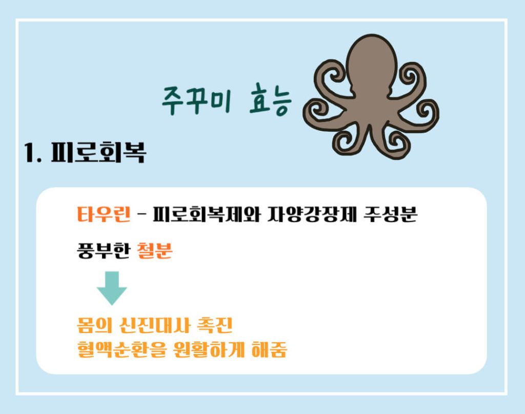 주꾸미 효능 제철 칼로리 알아보기 : 3, 4월 주꾸미철(feat. 부작용)