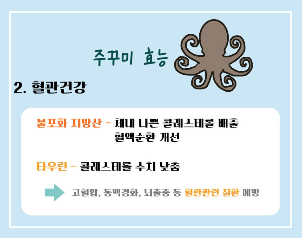 주꾸미 효능 제철 칼로리 알아보기 : 3, 4월 주꾸미철(feat. 부작용)