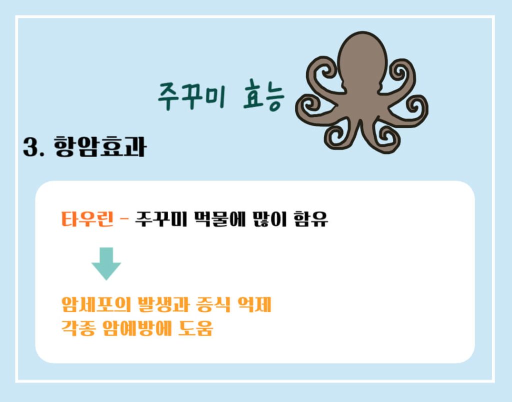 주꾸미 효능 제철 칼로리 알아보기 : 3, 4월 주꾸미철(feat. 부작용)