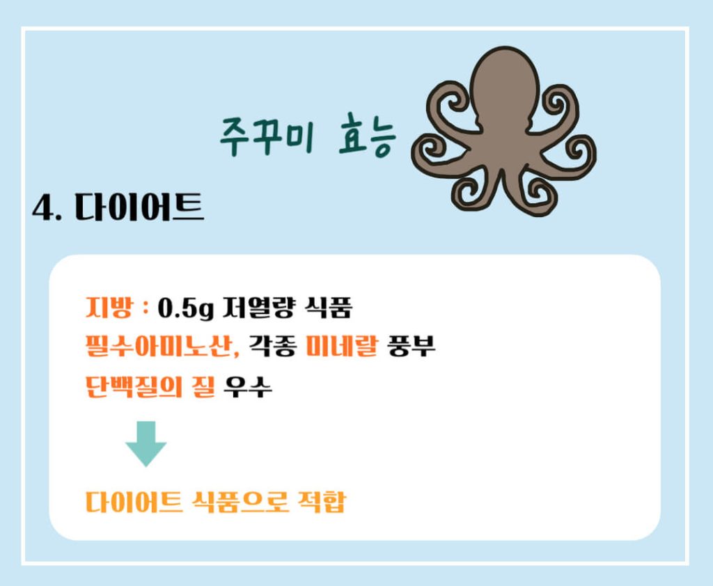 주꾸미 효능 제철 칼로리 알아보기 : 3, 4월 주꾸미철(feat. 부작용)