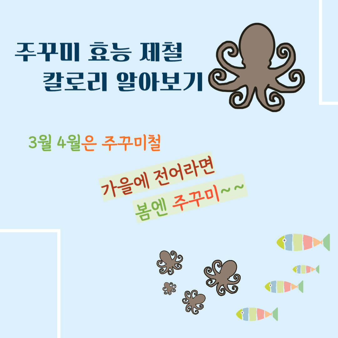 주꾸미 효능 제철 칼로리 알아보기 : 3, 4월 주꾸미철(feat. 부작용)