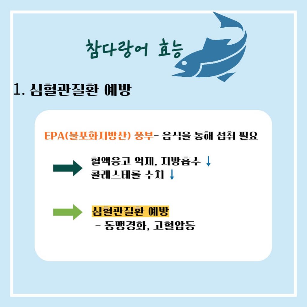 참다랑어 참치 효능 알아보기 : 두뇌건강, 혈관건강, 노화방지(feat. 부작용)