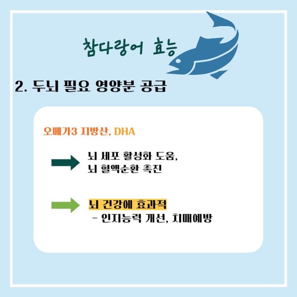 참다랑어 참치 효능 알아보기 : 두뇌건강, 혈관건강, 노화방지(feat. 부작용)