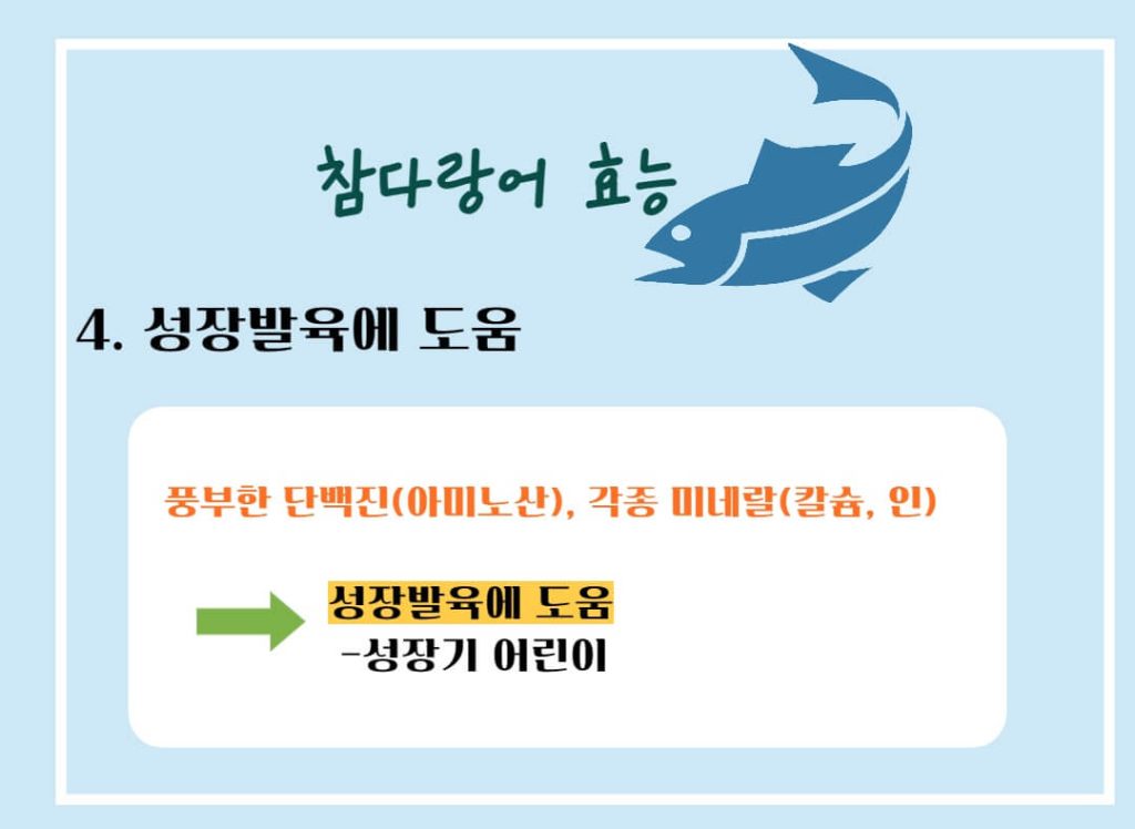 참다랑어 참치 효능 알아보기 : 두뇌건강, 혈관건강, 노화방지(feat. 부작용)