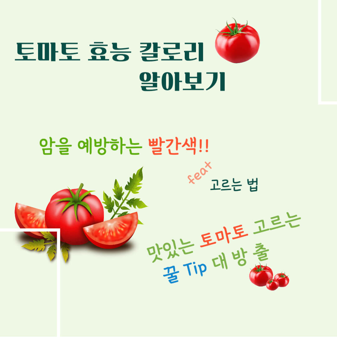 토마토 효능 칼로리 알아보기 : 암을 예방하는 빨간색(feat. 고르는법)