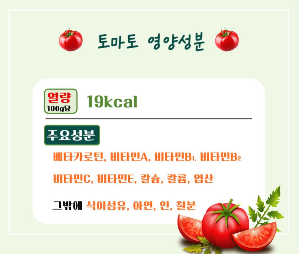 토마토 효능 칼로리 알아보기 : 암을 예방하는 빨간색(feat. 고르는법)