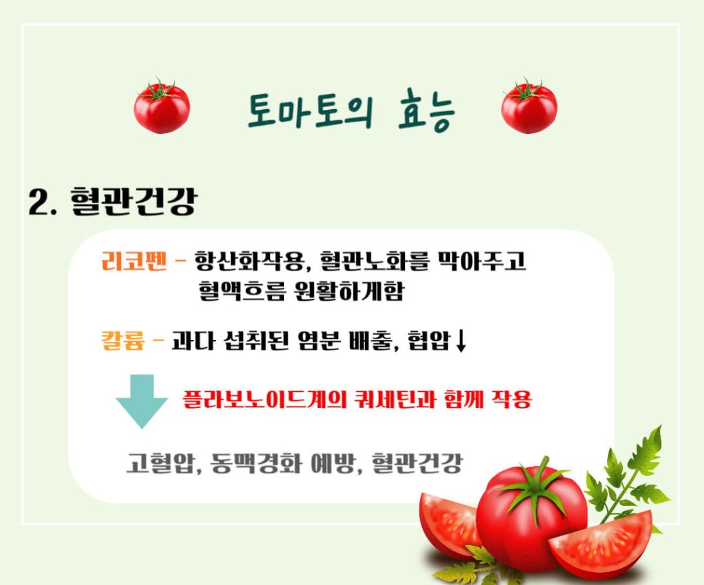 토마토 효능 칼로리 알아보기 : 암을 예방하는 빨간색(feat. 고르는법)