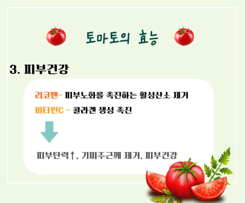 토마토 효능 칼로리 알아보기 : 암을 예방하는 빨간색(feat. 고르는법)