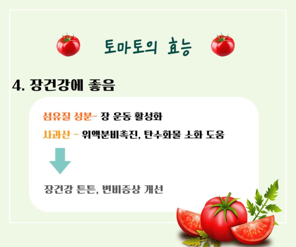 토마토 효능 칼로리 알아보기 : 암을 예방하는 빨간색(feat. 고르는법)