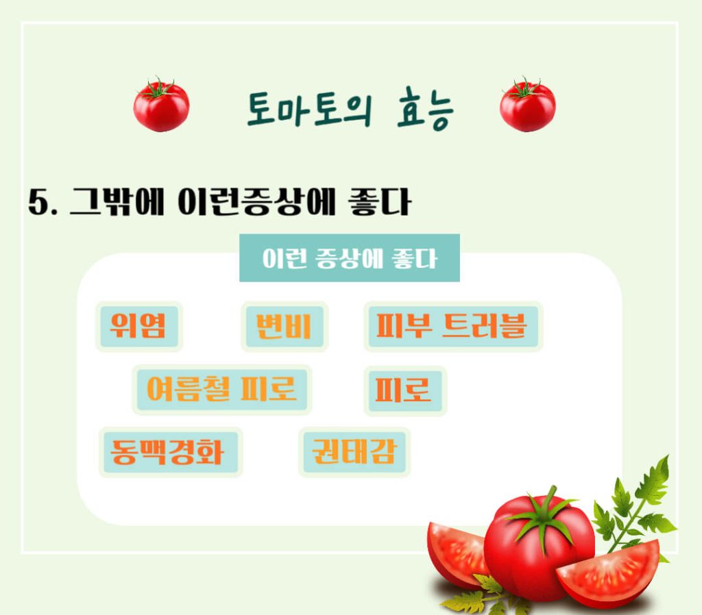 토마토 효능 칼로리 알아보기 : 암을 예방하는 빨간색(feat. 고르는법)