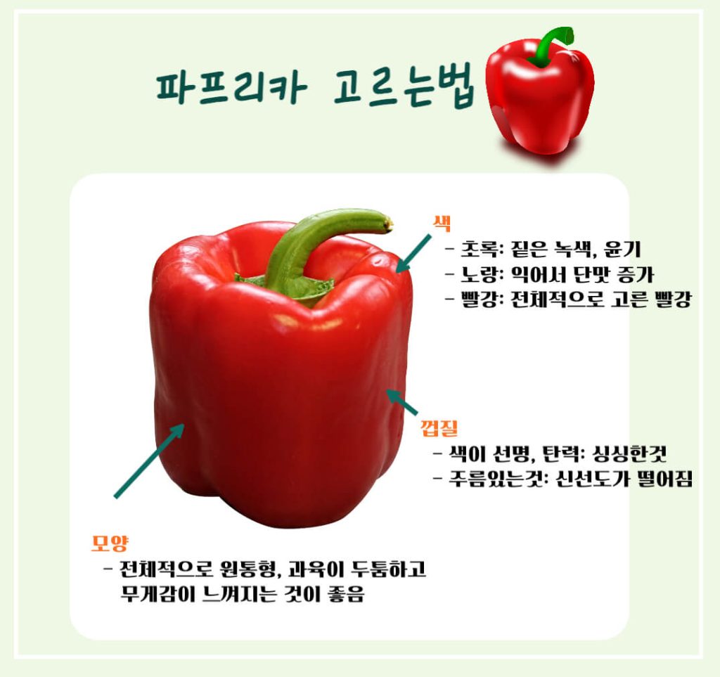파프리카 효능 칼로리 알아보기 : 도자기 피부를 원한다면?(feat. 피망)