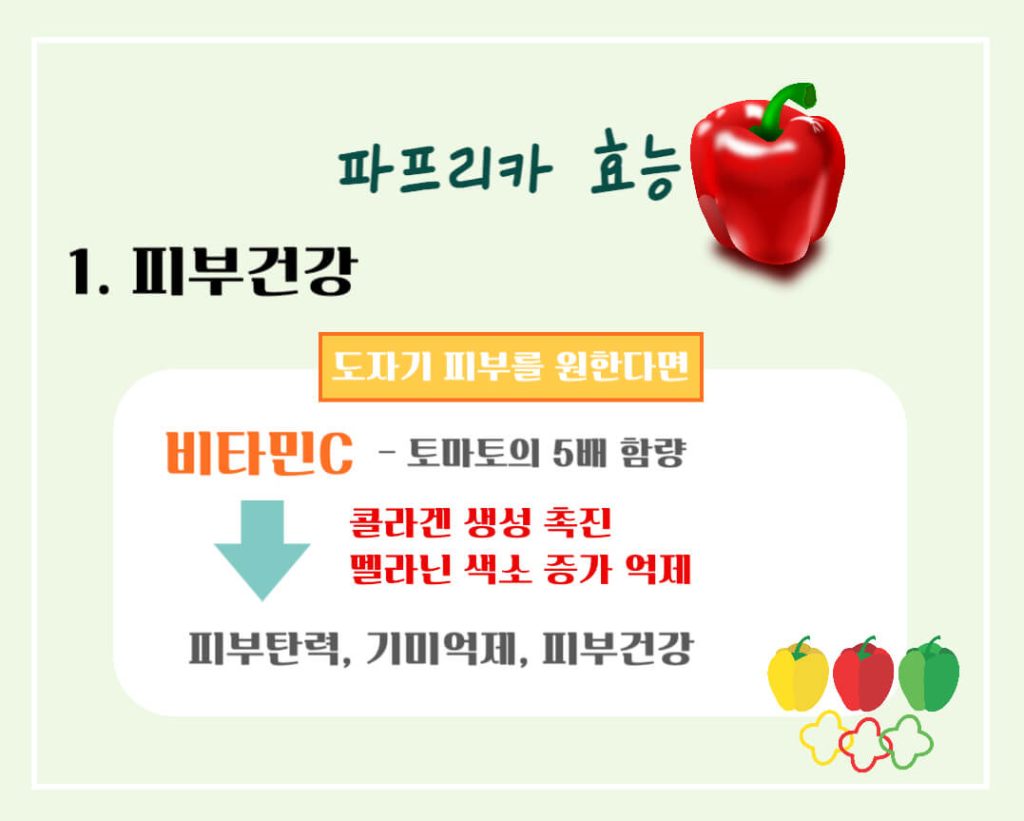 파프리카 효능 칼로리 알아보기 : 도자기 피부를 원한다면?(feat. 피망)