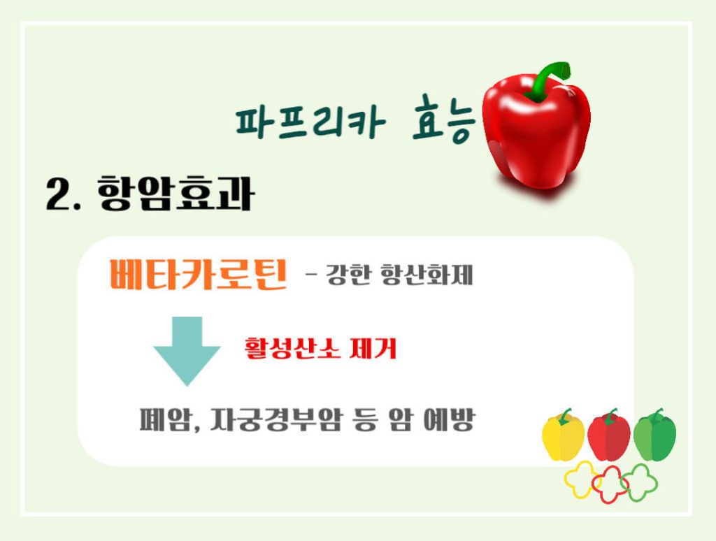파프리카 효능 칼로리 알아보기 : 도자기 피부를 원한다면?(feat. 피망)