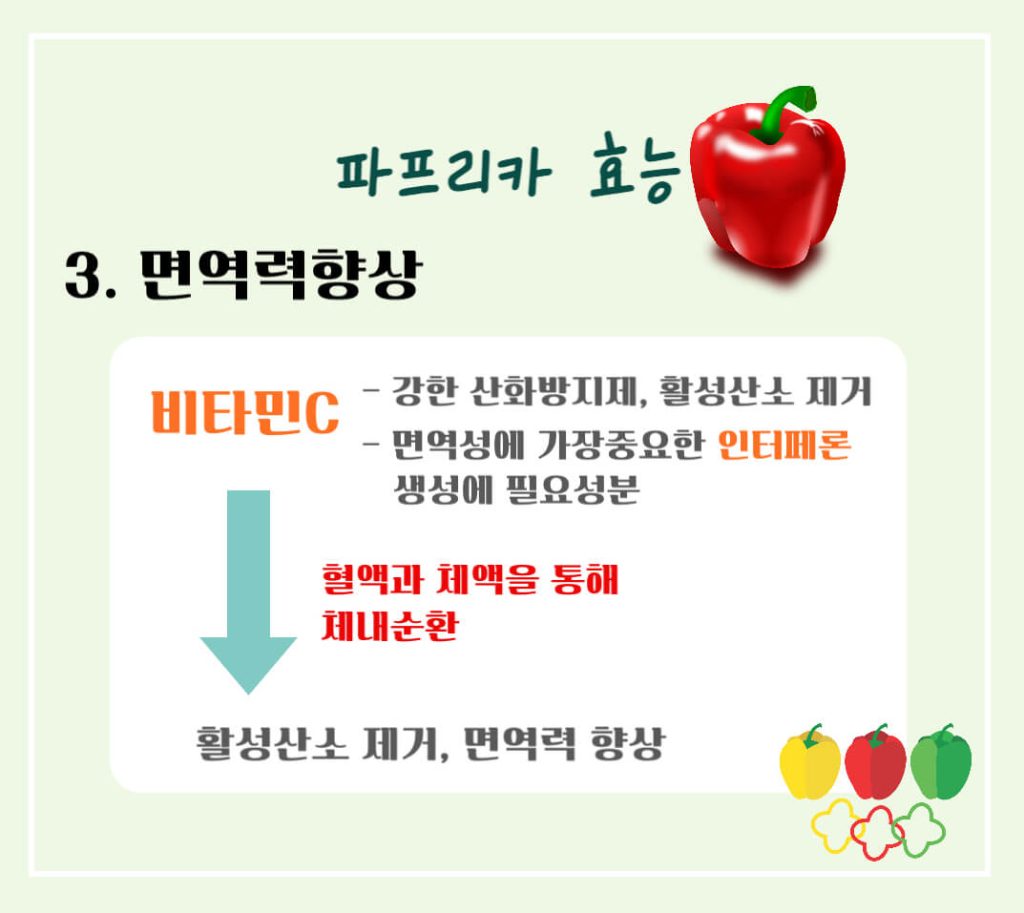 파프리카 효능 칼로리 알아보기 : 도자기 피부를 원한다면?(feat. 피망)