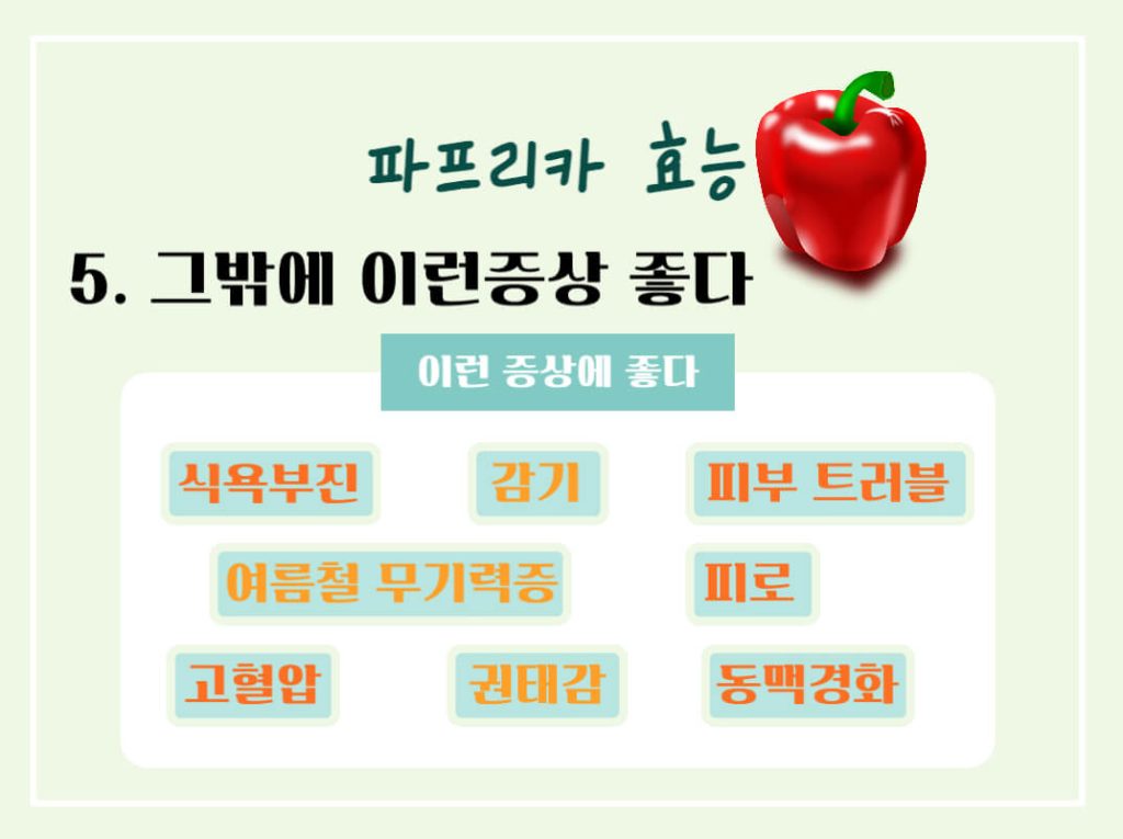 파프리카 효능 칼로리 알아보기 : 도자기 피부를 원한다면?(feat. 피망)