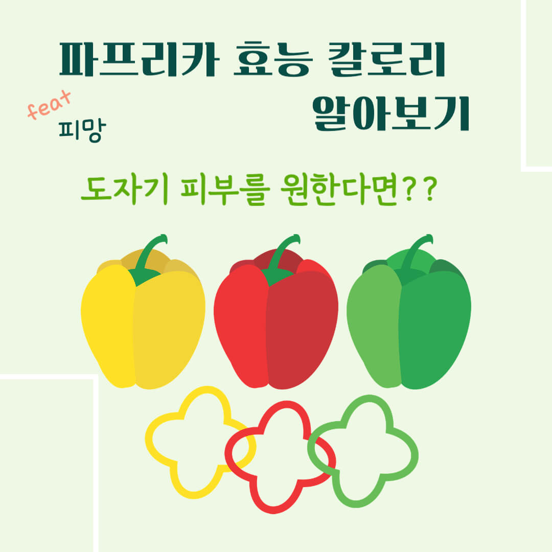 파프리카 효능 칼로리 알아보기 : 도자기 피부를 원한다면?(feat. 피망)