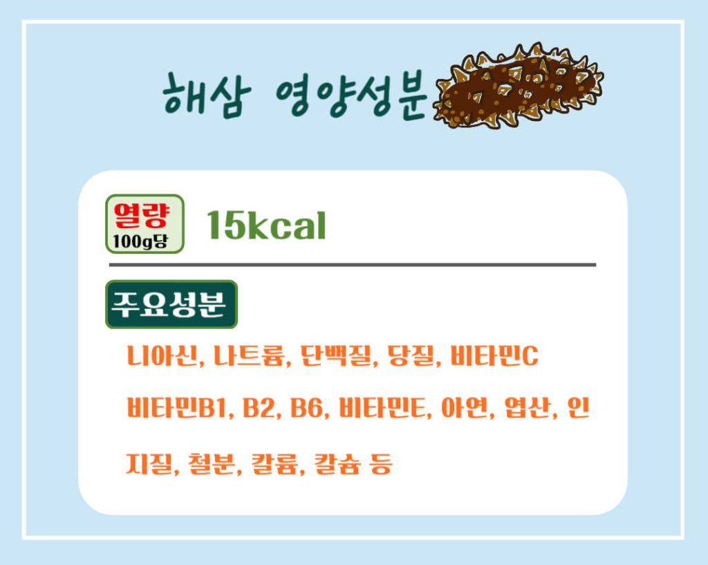 해삼 효능 7가지, 칼로리 알아보기 : 바다의 인삼(feat. 부작용)